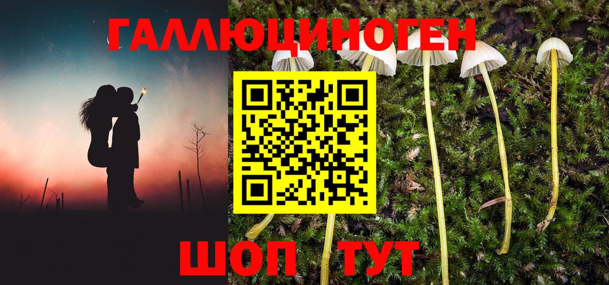 Псилоцибиновые грибы мухоморы  Вход с VPN  Трёхгорный  Галлюциногенные грибы Psilocybe 